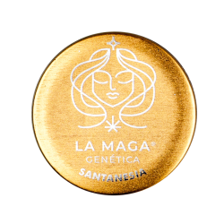 La Maga Semillas Santanesia