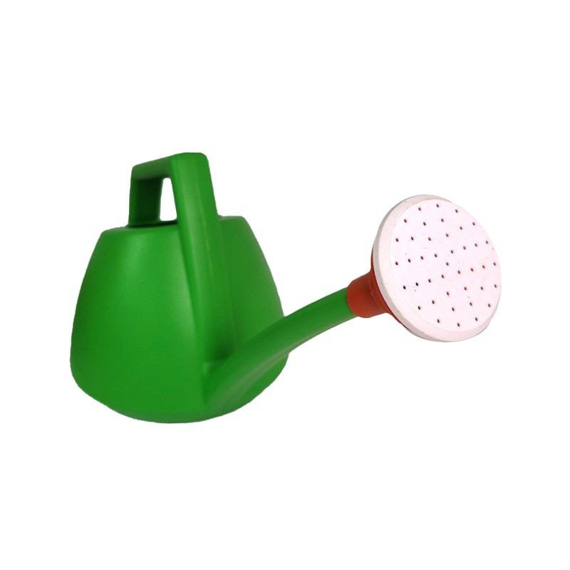 Regadera Pico Largo 6LT