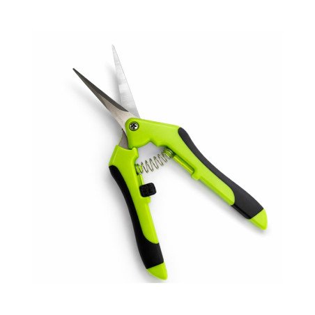 Tijera Curva Scissors