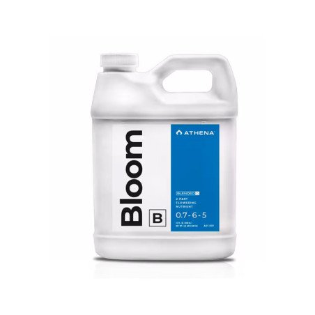 Athena Bloom B 32oz