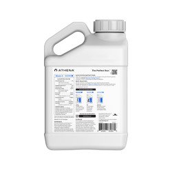 Athena Bloom A 1gal