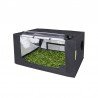 Probox Propagator L (60x40x200) Garden