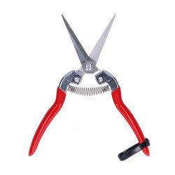 Tijera Mango Rojo Goma Premium Keep It Fresh (314)