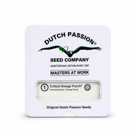 Dutch Passion Semillas CBD Charlottes x3
