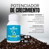 Namaste Calmagste 100ml