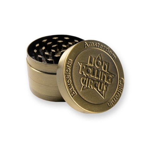 PIcador Lion Metal Gold 3P Amsterdam