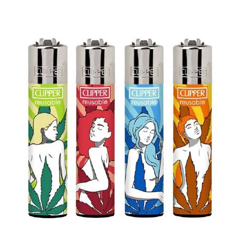 Clipper Miss Mary jane