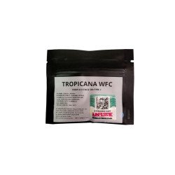 Sweed Lab Semillas Feminizadas Tropicana WFC x4
