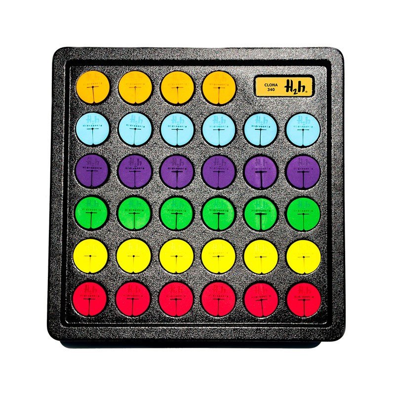 H2H Hidroponia Clona 340