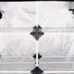 Carpa 120x40 x200cm Garden Probox Propagator XL