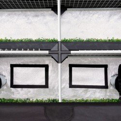 Carpa 120x40 x200cm Garden Probox Propagator XL