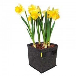 Garden Maceta Propot 30lt