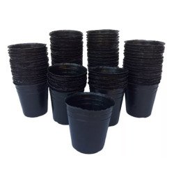 Maceta Soplada N°10 (250CC)