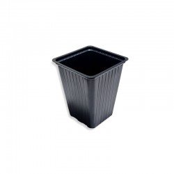 Maceta Carluccio Cuadrada Plantin 7.3*9CM (300CC)
