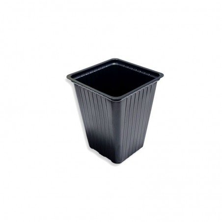 Maceta Carluccio Cuadrada Plantin 7.3*9CM (300CC)