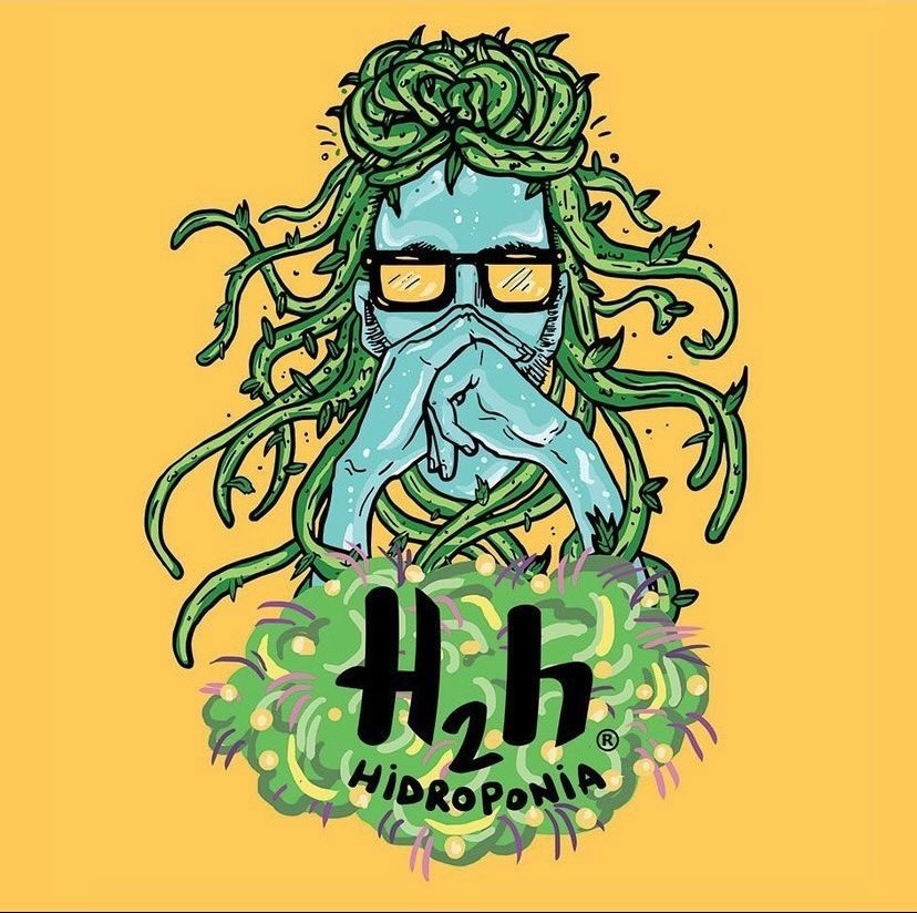 H2H